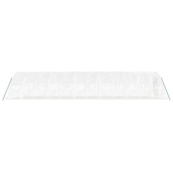 Gewächshaus mit Stahlrahmen Weiß 60 m² 12x5x2,3 m