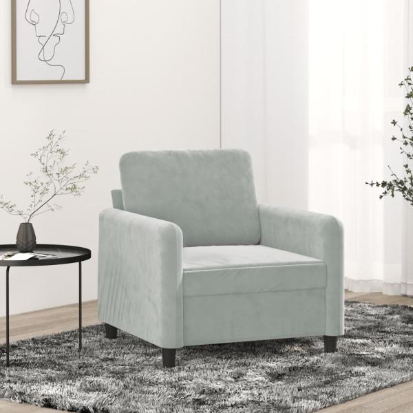ARDEBO.de - Sessel Hellgrau 60 cm Samt