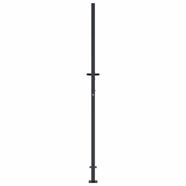 Gartentor Anthrazit 100x200 cm Stahl Bambus-Design