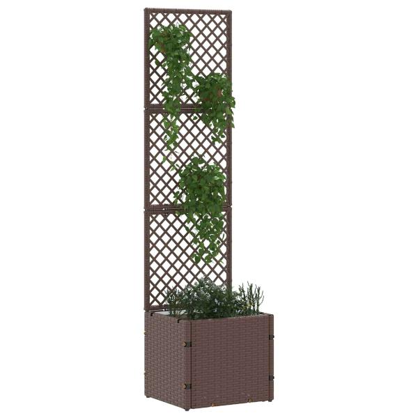 Garten-Spalier-Pflanzer Braun 35 x 30 x 135 cm Metall