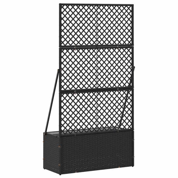 Garten-Spalier-Pflanzer Schwarz 70 x 30 x 135 cm Metall