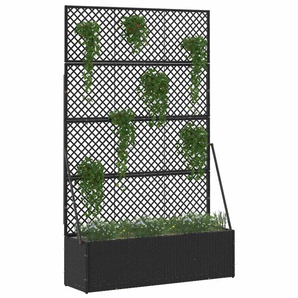 Garten-Spalier-Pflanzer Schwarz 105 x 30 x 170 cm Metall