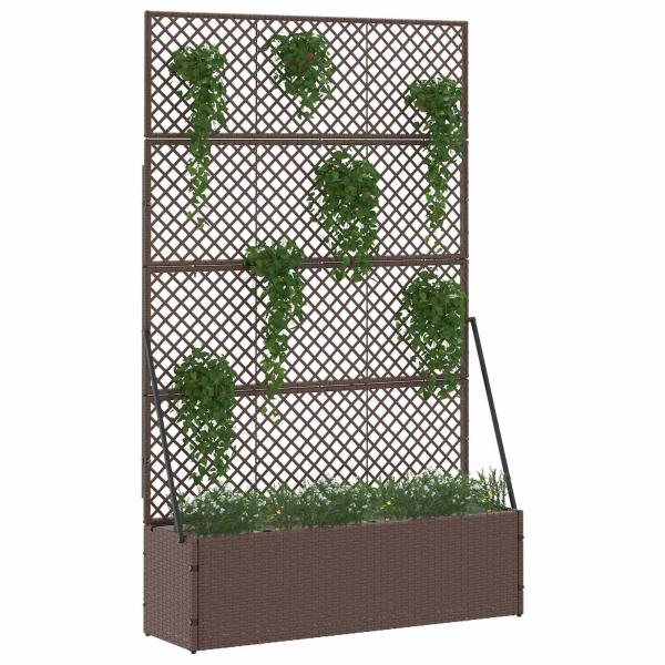 Garten-Spalier-Pflanzer Braun 105 x 30 x 170 cm Metall