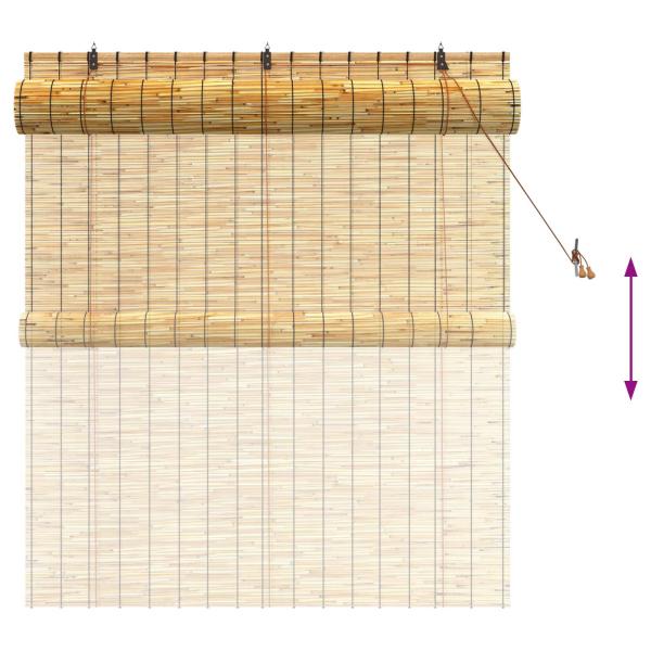Rollo Natur 140 x 160 cm Schilf