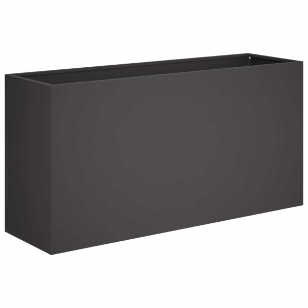 Garten-Pflanzgefäß Schwarz 100 x 30 x 50 cm Kaltgewalzter Stahl