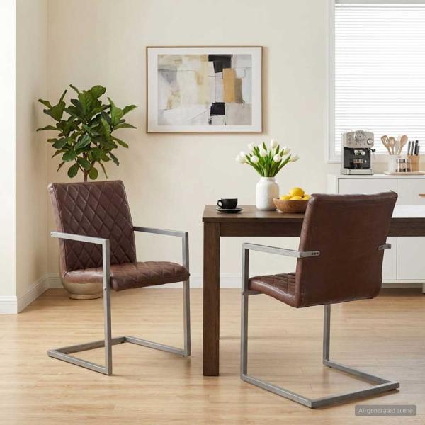ARDEBO.de - Freischwinger 2 Stk. Braun Echtleder