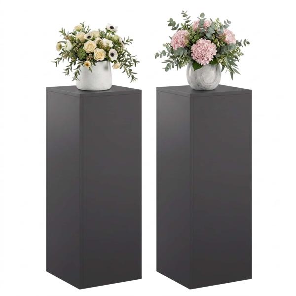 Pflanzenständer 2 pcs Schwarz 30 x 30 x 80 cm Stahl