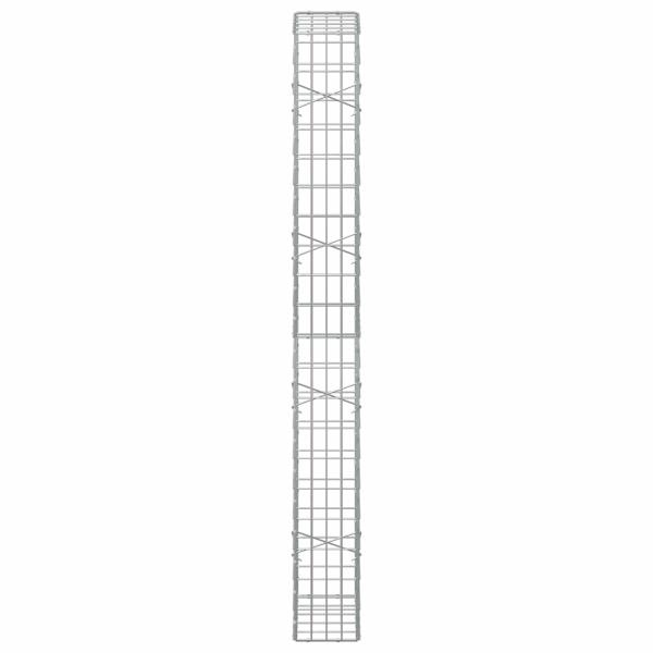 Gabione mit 5 mm Draht und 5x10 cm Maschen 50x20x200 cm