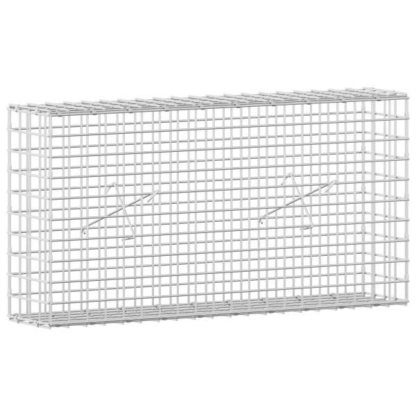 Gabione mit 5 mm Draht und 5x5 cm Maschen 100x20x50 cm