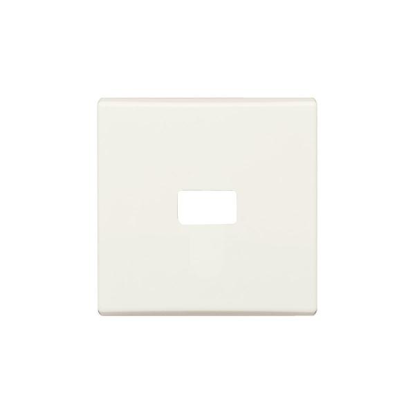 ARDEBO.de Busch-Jaeger 2120-32 Wippe, Allwetter 44, offen, für Symbol, cremeweiß (2CKA001731A1817)