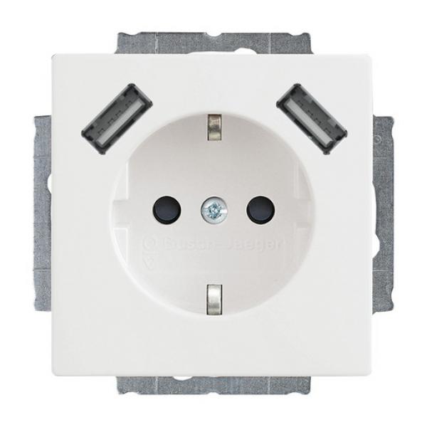 ARDEBO.de - 20 EUCB2USB-84 20 EUCB2USB-84 SCHUKO® 2x USB-Steckdose