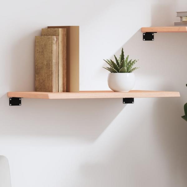 ARDEBO.de - Wandregal 60x40x2 cm Massivholz Eiche Unbehandelt
