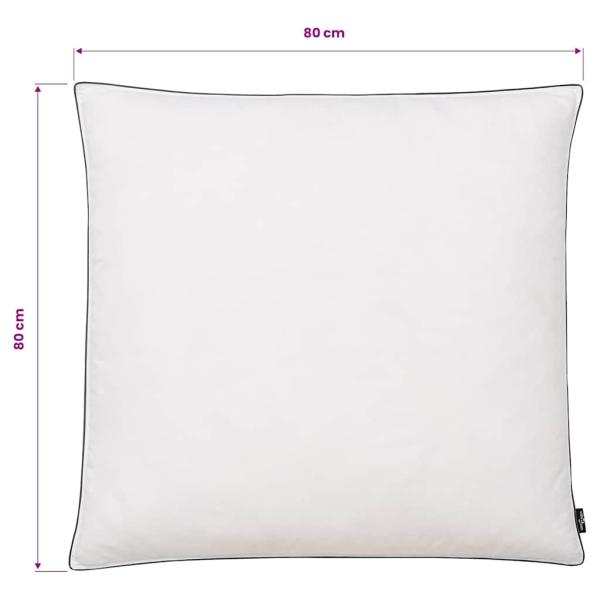 Kissen 2 Stk. Daunen-/Federnfüllung Schwer 80x80 cm Weiß
