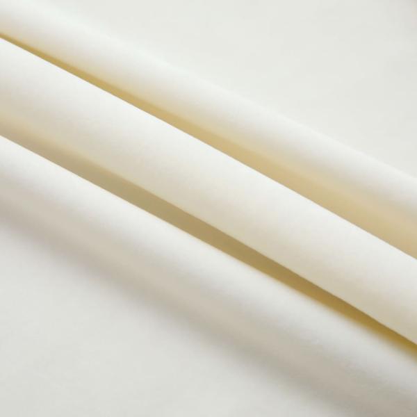 Verdunkelungsvorhänge mit Haken 2 Stk. Samt Creme 140x245cm
