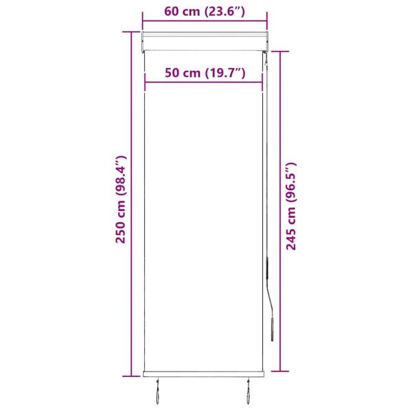 Außenrollo 60 x 250 cm Blau und Weiß