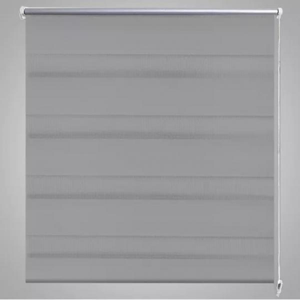 Doppelrollo 50 x 100 cm grau