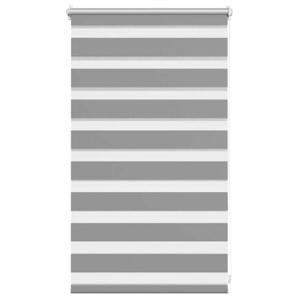 Doppelrollo 50 x 100 cm grau