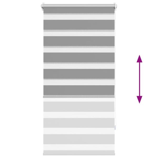Doppelrollo Seitenzug  60 x 120 cm