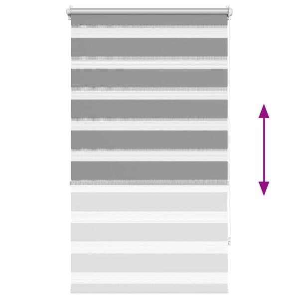 Doppelrollo Seitenzug Duo 70 x 120 cm