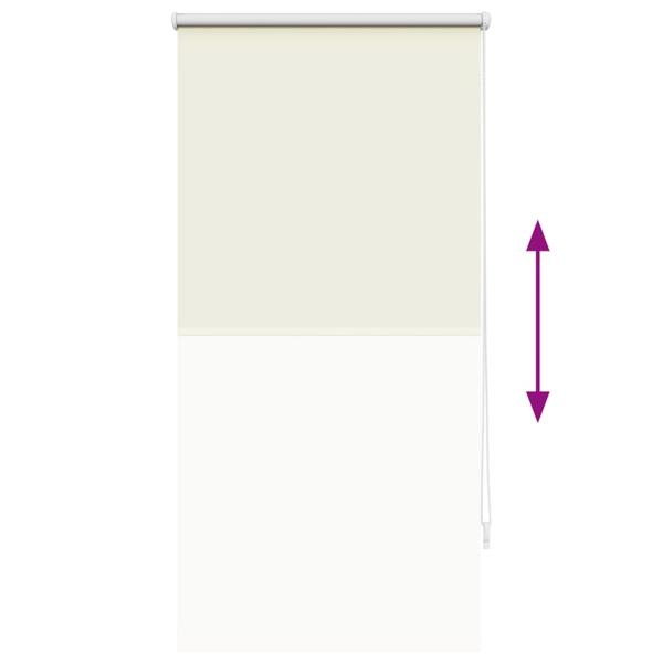 Verdunklungsrollo Verdunkelungsrollo Rollo 60x120 creme