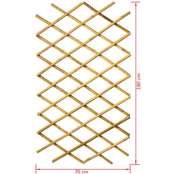 Nature Garten Gitter 70x180 cm Bambus 6040721