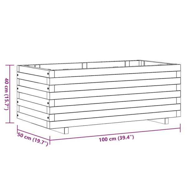 Hochbeet 100x50x40 cm Holz Rechteckig