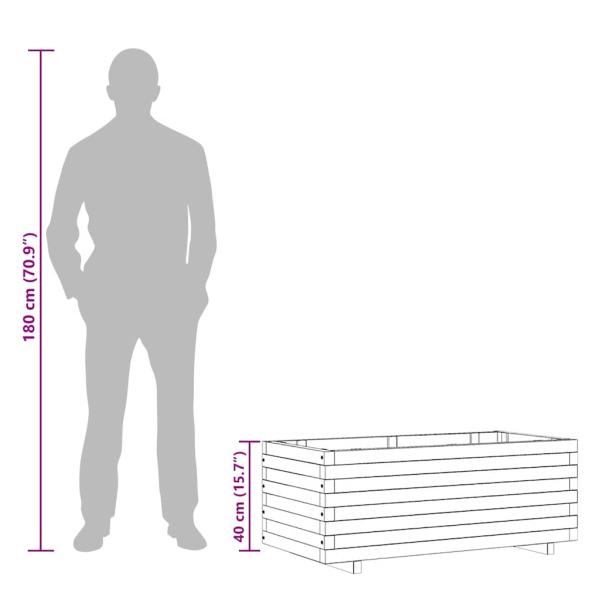 Hochbeet 100x50x40 cm Holz Rechteckig