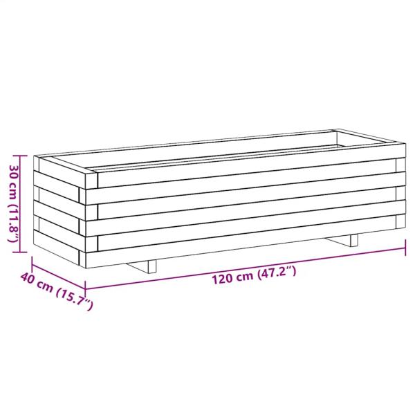Hochbeet 120x40x30 cm Holz Rechteckig