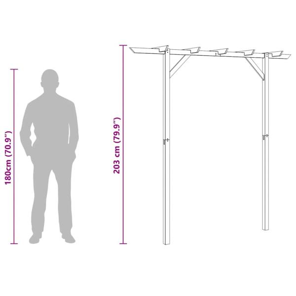 Gartenpergola 205x40x203 cm Holz