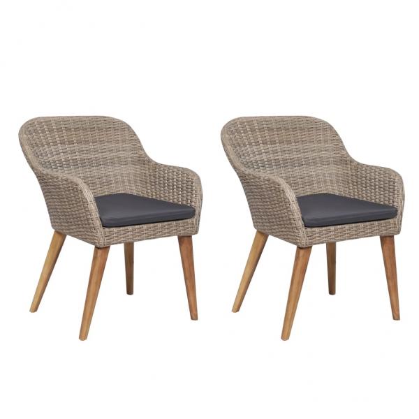 ARDEBO.de - Gartenstühle mit Polstern 2 Stk. Poly Rattan Braun 