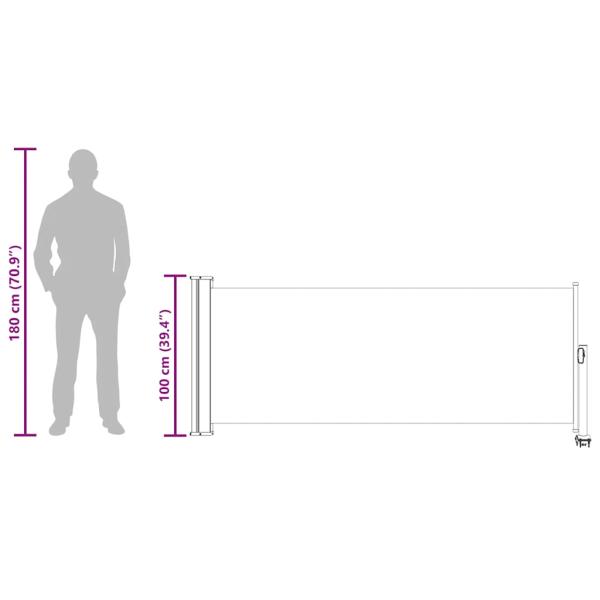 Ausziehbare Seitenmarkise 100 x 300 cm Creme