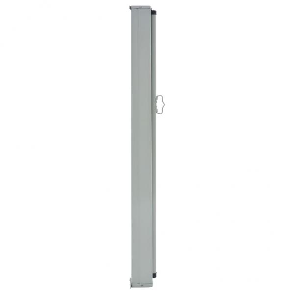Ausziehbare Seitenmarkise 100x300 cm Braun 