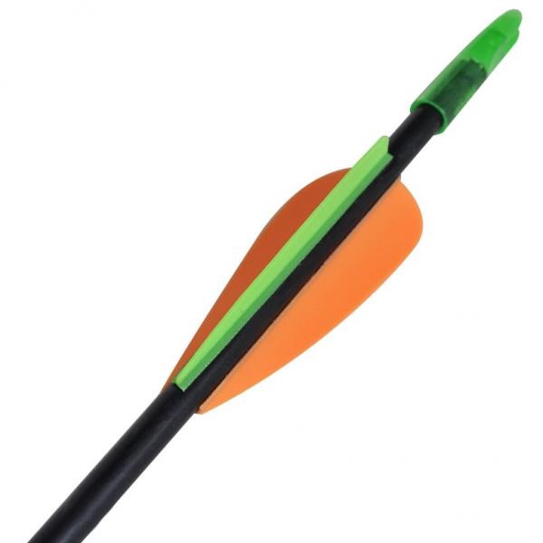 Recurvebogen-Pfeile 30" 0,6 cm Fiberglas 12 Stk.