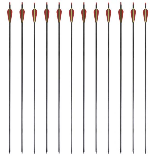 Recurvebogen-Pfeile 30" 0,76 cm Carbon 12 Stk.