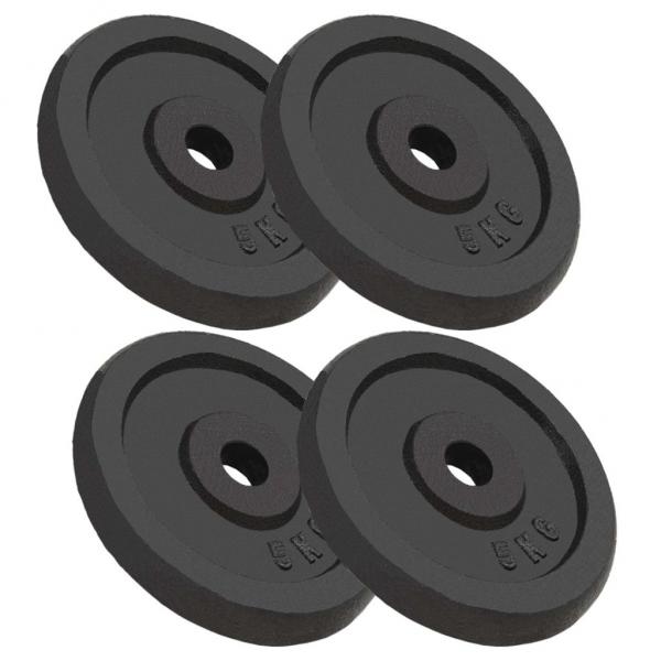 ARDEBO.de - Hantelscheiben 4 Stk. 4x5 kg Gusseisen