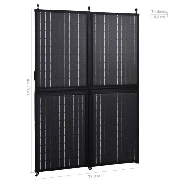 Solarmodul Faltbar 100 W 12 V