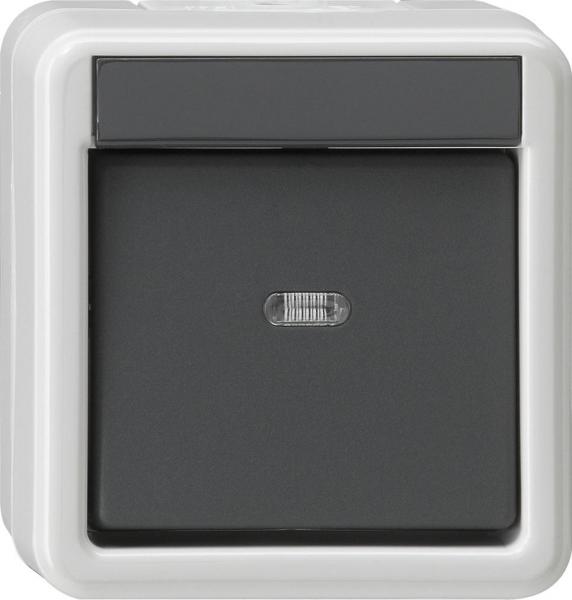 ARDEBO.de Gira 010630 Wippschalter, 10 A, 250 V~, Universal Aus Wechselschalter, Wassergeschützt Aufputz System IP 44, grau