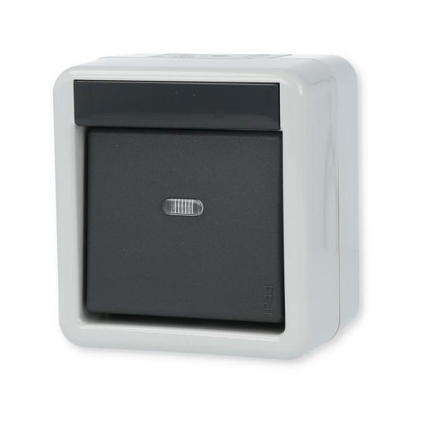 Gira 010630 Wippschalter, 10 A, 250 V~, Universal Aus Wechselschalter, Wassergeschützt Aufputz System IP 44, grau