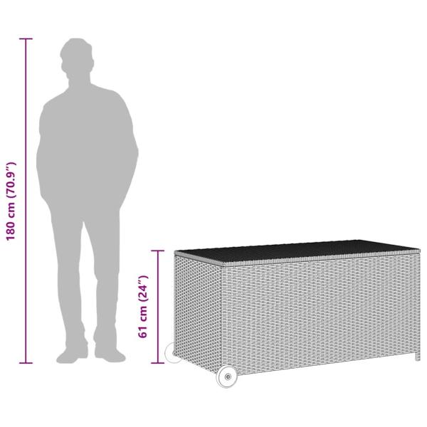Garten-Auflagenbox Schwarz 120x65x61 cm Poly Rattan