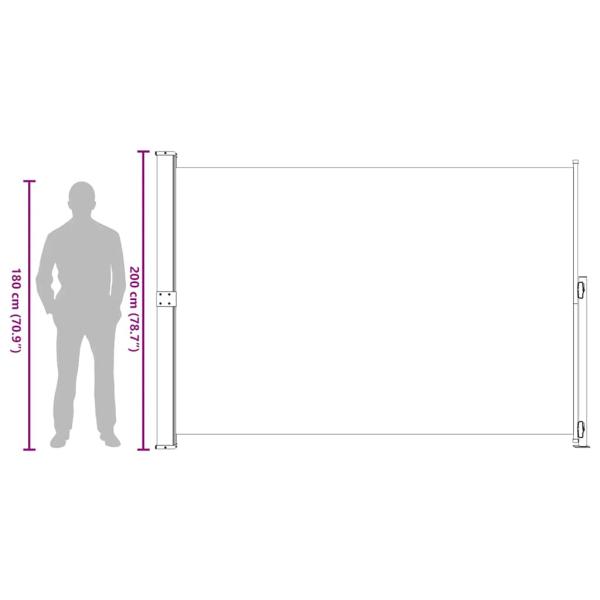 Seitenmarkise Ausziehbar 200x300 cm Schwarz