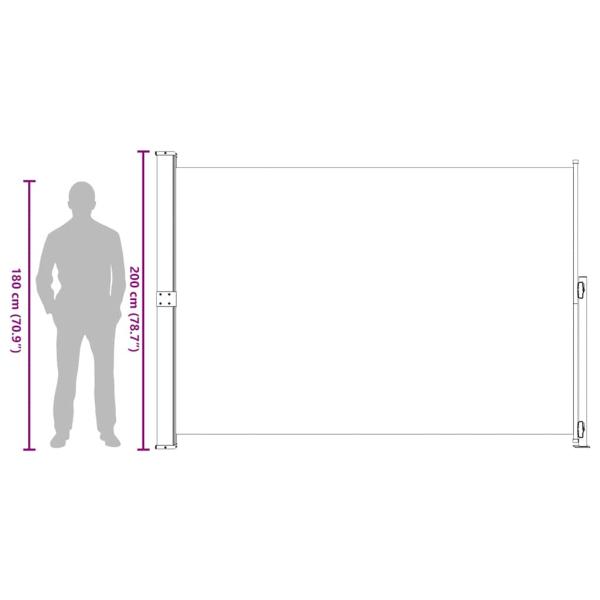 Seitenmarkise Ausziehbar 200x300 cm Grau