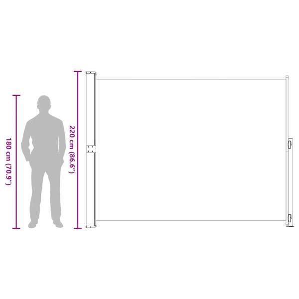 Seitenmarkise Ausziehbar 220x300 cm Schwarz