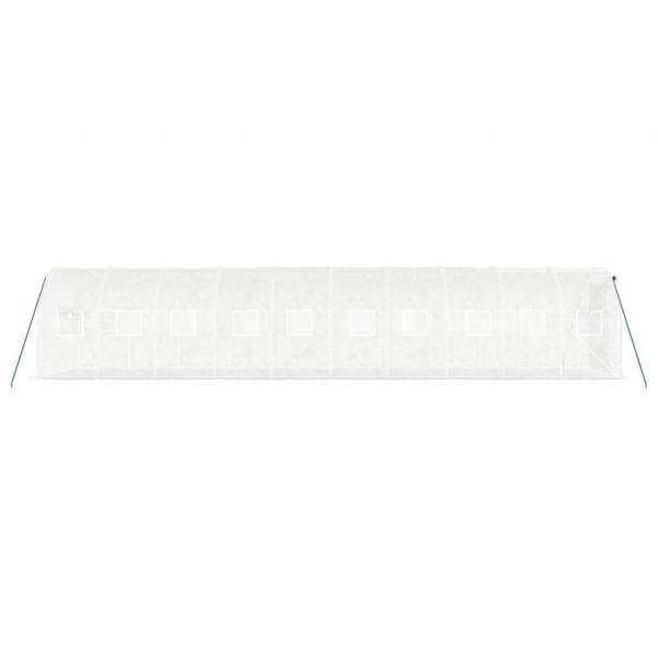 Gewächshaus mit Stahlrahmen Weiß 20 m² 10x2x2 m