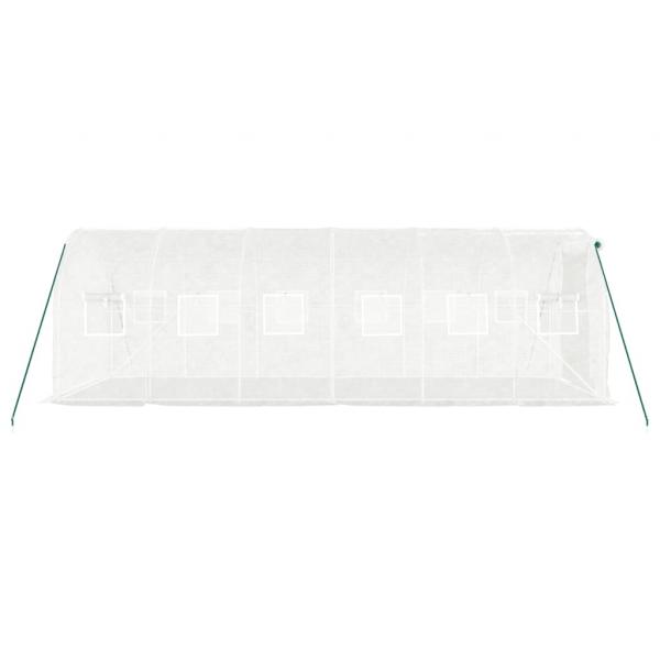 Gewächshaus mit Stahlrahmen Weiß 12 m² 6x2x2 m