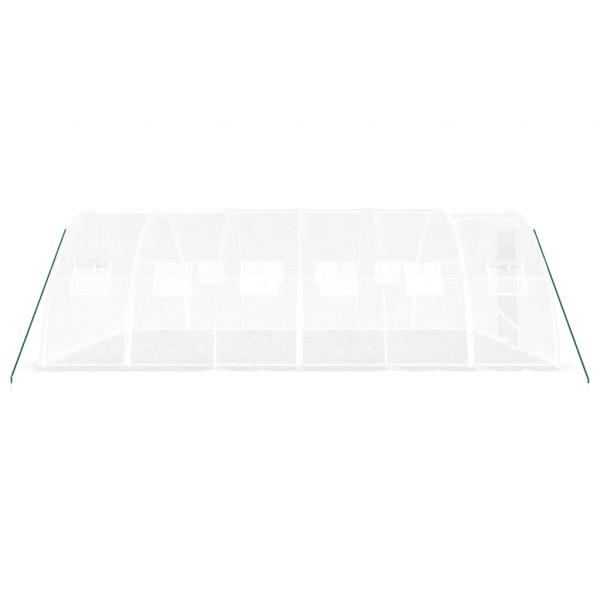 Gewächshaus mit Stahlrahmen Weiß 24 m² 6x4x2 m