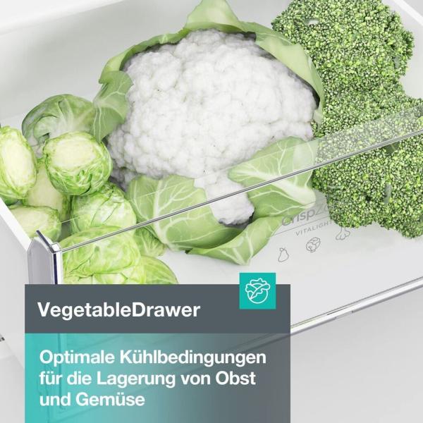 Gorenje NRK418ECS4 Kühl-Gefrierkombination, grau, 256L, 55cm breit, LED Beleuchtung, NoFrost Plus *ANGEBOT*