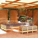 13-tlg. Garten-Lounge-Set mit Grauen Kissen Kiefernholz