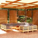 14-tlg. Garten-Lounge-Set mit Grauen Kissen Kiefernholz