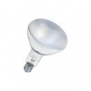 ARDEBO.de LEDVANCE ULTRA VITALUX 300 W 230 V E27, 300W (U VITALX 300W E)
