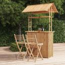 3-tlg. Bar-Set Bambus
